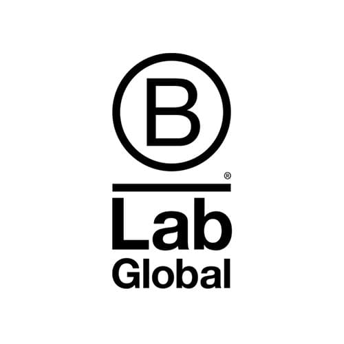 Logo-B-Lab-Global